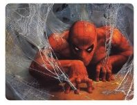 Spider-Man Web Mousepad