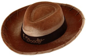 Toy Story Cowboy hat like woody wears