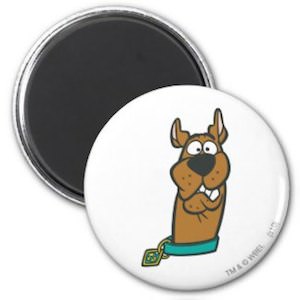 Scooby-Doo Weird Look Magnet