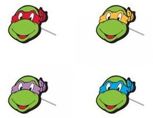 Teenage Mutant Ninja Turtles Earrings