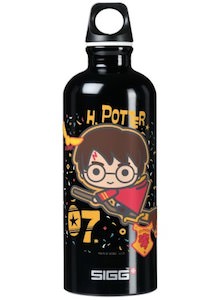 Harry Potter Quidditch Water Bottle
