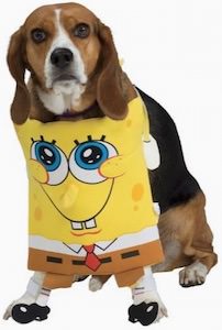 SpongeBob Dog Costume