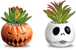 The Nightmare Before Christmas Succulents Collection