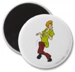 Scooby-Doo's friend Shaggy on this fridge magnet
