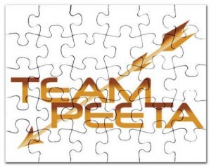 Hunger Games Team Peeta Puzzle