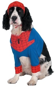 Spider-Man costume for the dog