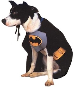 Batman Dog Costume