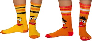 Sesame Street Bert And Ernie Socks