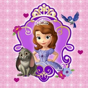 Sofia The First Napkins