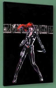 Black Widow Canvas Print