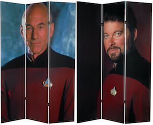 Star Trek divider screen
