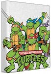Avery Teenage Mutant Ninja Turtles Group Shot Binder