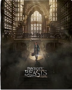 Fantastic Beasts and Where to Find Them blanket