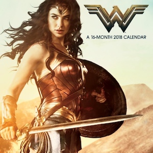 DC Comics 2018 Wonder Woman Wall Calendar