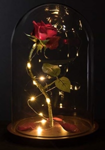 Beauty And The Beast Enchanted Rose