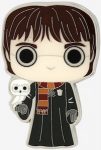 Harry Potter And His Owl Pin