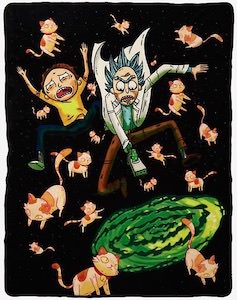 Rick And Morty Cat Portal Blanket