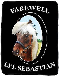 Farewell Lil’l Sebastian Blanket