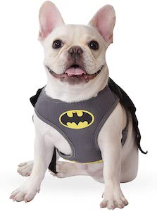 Batman Dog Harness And Costume